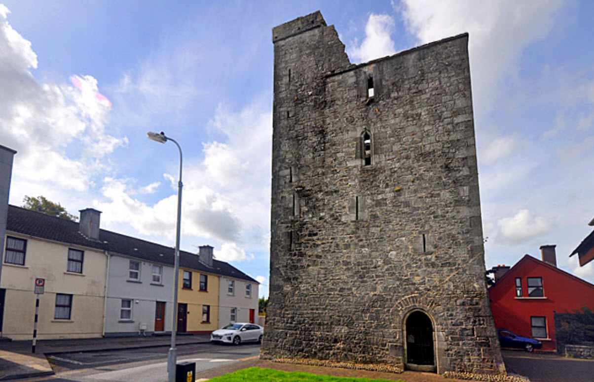 Maudlin Castle, Ireland